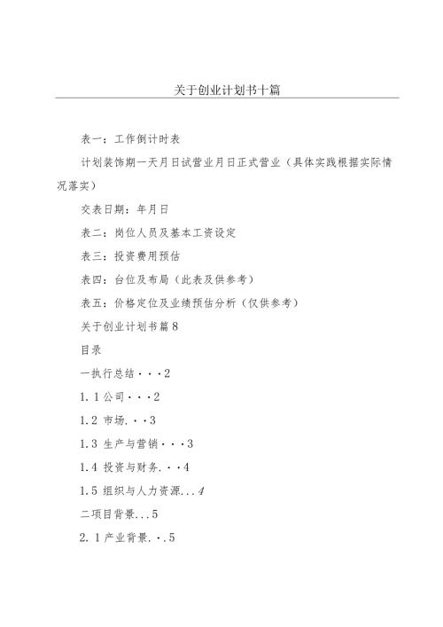 关于创业计划书十篇.docx
