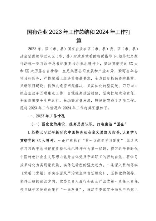 国有企业2023年工作总结和2024年工作打算.docx