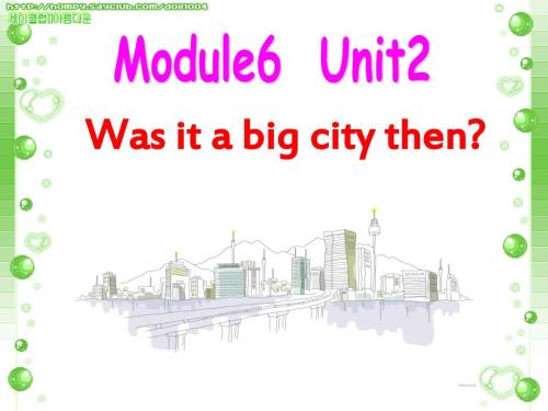 Wasitabigcitythen说课课件.ppt
