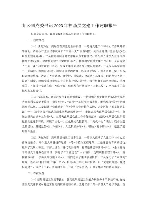 某公司党委书记2023年抓基层党建工作述职报告.docx