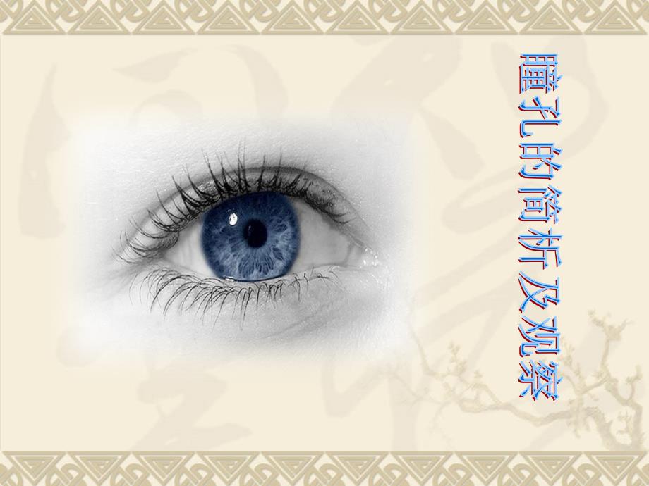 瞳孔演示文稿PPT课件.ppt_第1页