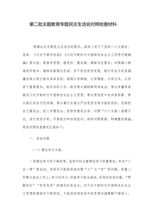 第二批主题教育专题民主生活会对照检查材料.docx