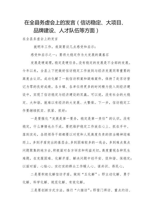 在全县务虚会上的发言（信访稳定、大项目、品牌建设、人才队伍等方面）.docx