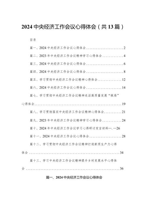 2024中央经济工作会议心得体会13篇供参考.docx