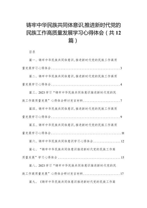 铸牢中华民族共同体意识,推进新时代党的民族工作高质量发展学习心得体会(精选12篇合集)(1).docx