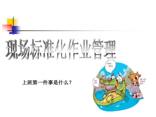 现场标准化作业培训材料.ppt