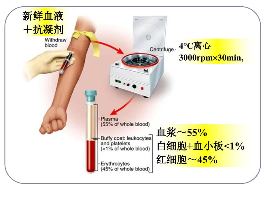 生理学血液PPT课件.ppt_第2页