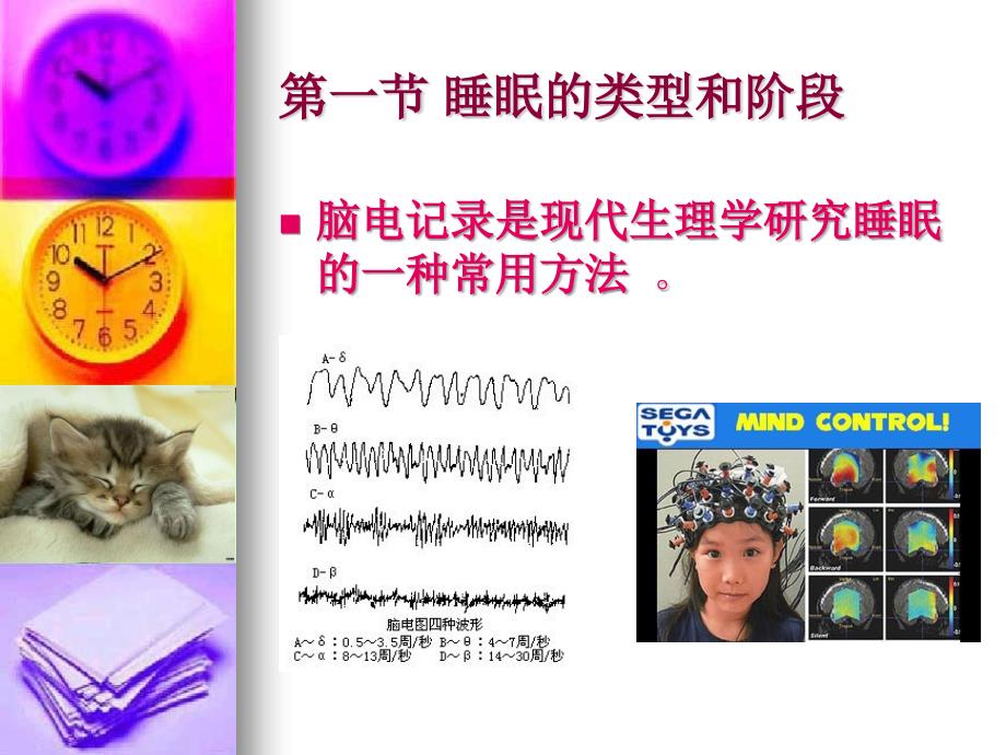 睡眠和节律行为PPT演示课件.ppt_第2页
