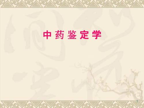 中药鉴定培训课件.ppt