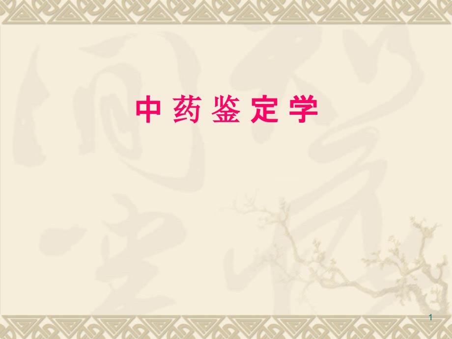 中药鉴定培训课件.ppt_第1页