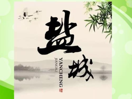 家乡介绍盐城PPT课件.ppt