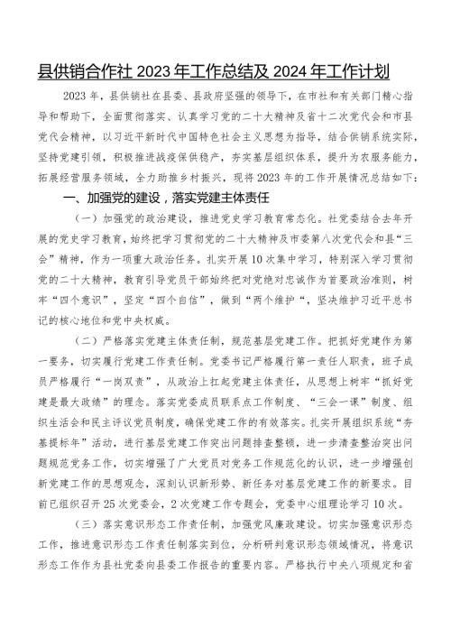 县供销合作社2023年工作总结及2024年工作计划.docx