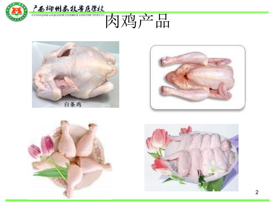 白羽肉鸡饲养管理PPT课件.ppt_第2页