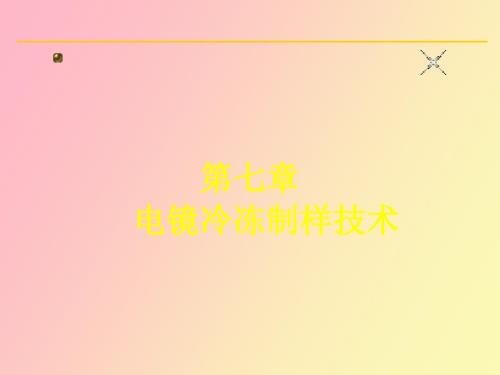 电镜冷冻制样技术NEWB.ppt