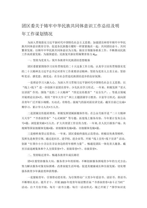 团区委关于铸牢中华民族共同体意识工作总结及明年工作谋划情况.docx