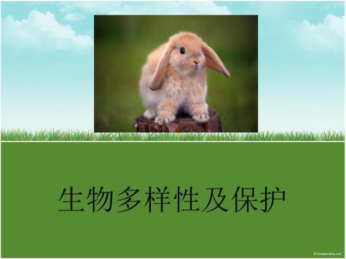 生物多样性及保护PPT课件.ppt