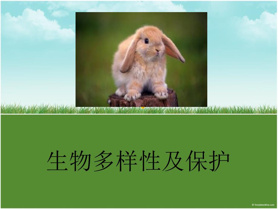 生物多样性及保护PPT课件.ppt_第1页
