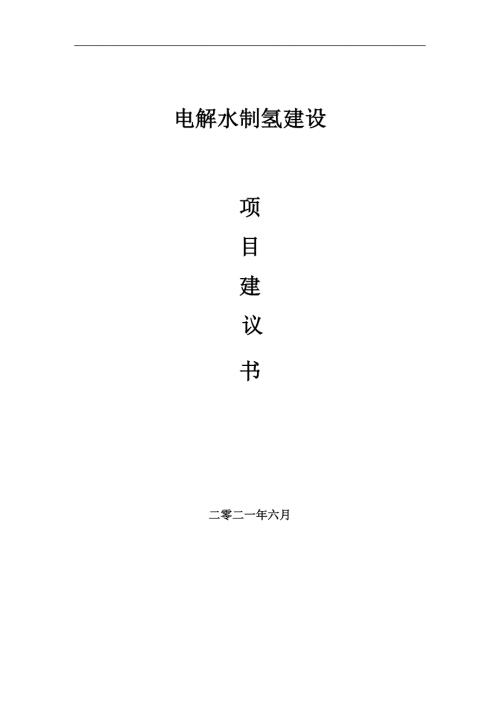 电解水制氢项目项目建议书写作范本.doc