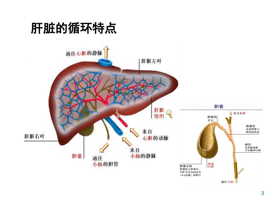 实验诊断学肝脏病常用实验室检测.ppt_第3页