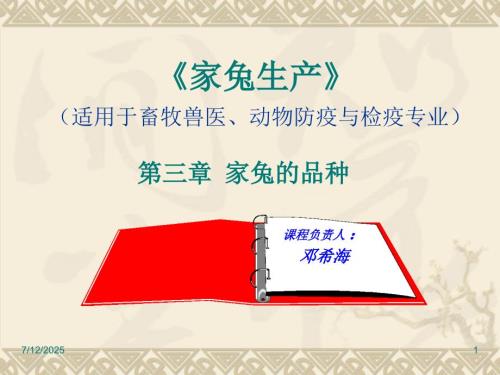 家兔的品种PPT课件.ppt