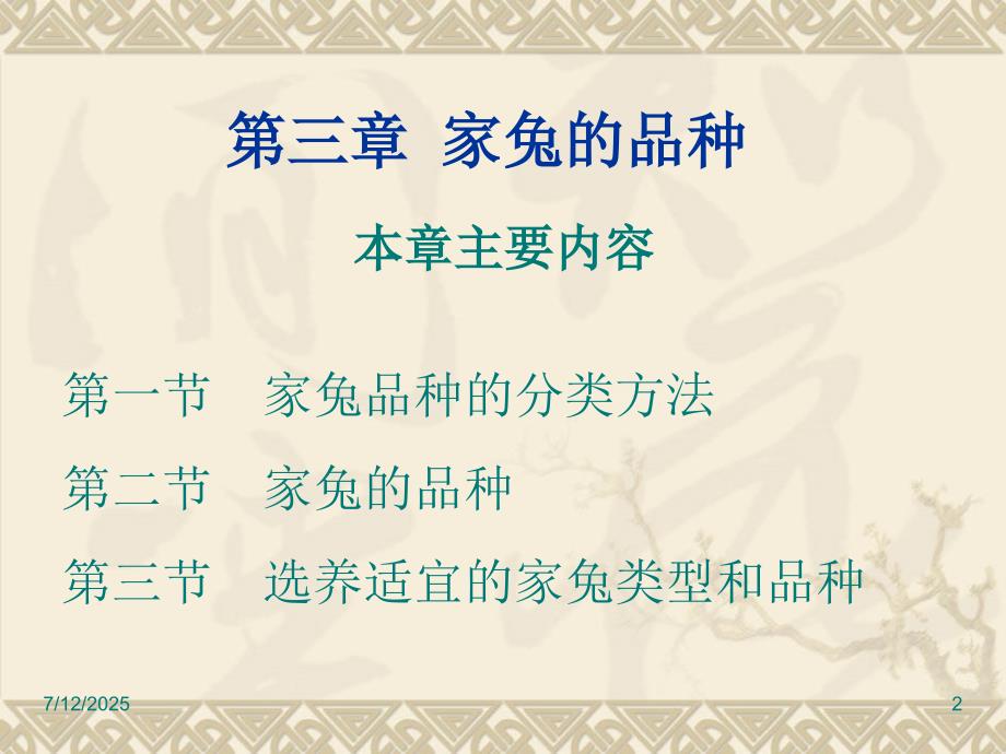 家兔的品种PPT课件.ppt_第2页