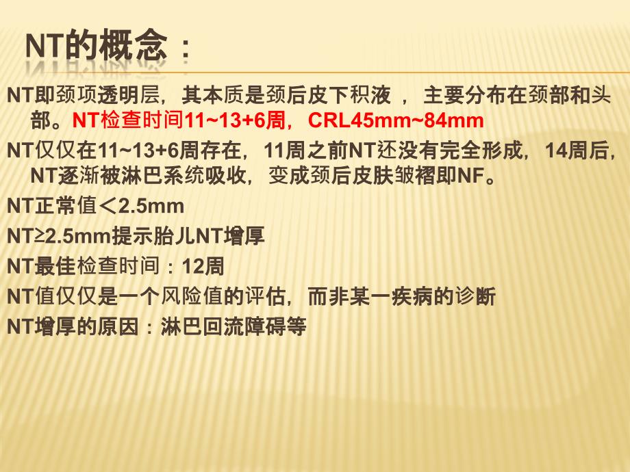 NT检查规范课件.pptx_第3页