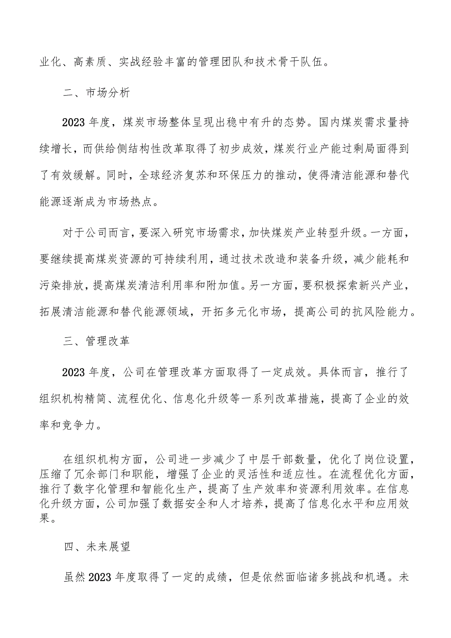 煤炭公司总结报告模板.docx_第2页