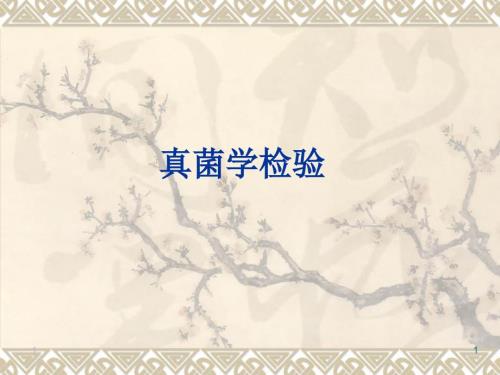 真菌学检验ppt课件.ppt