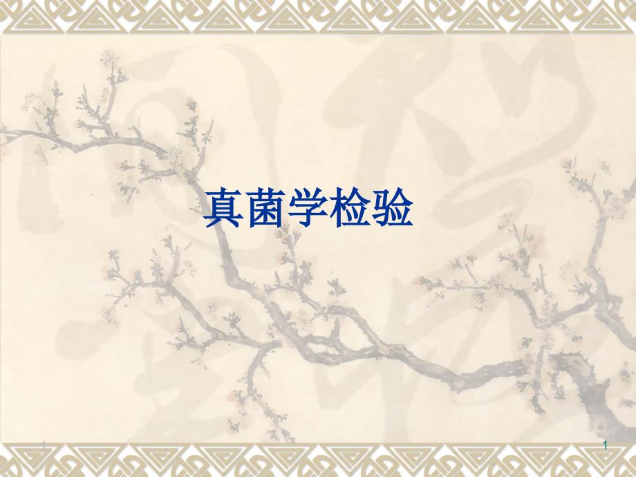 真菌学检验ppt课件.ppt_第1页