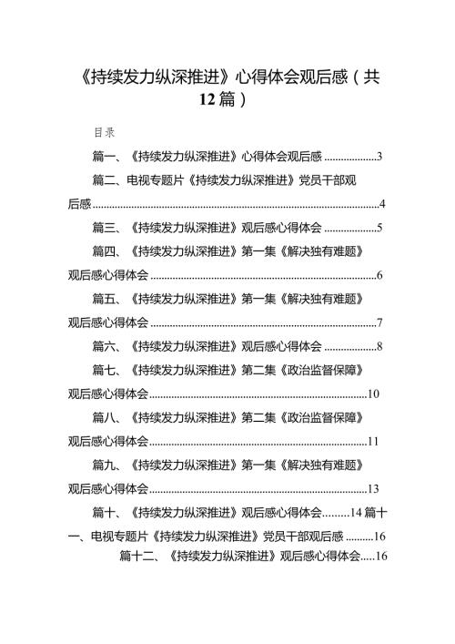 《持续发力纵深推进》心得体会观后感最新精选版【12篇】(1).docx