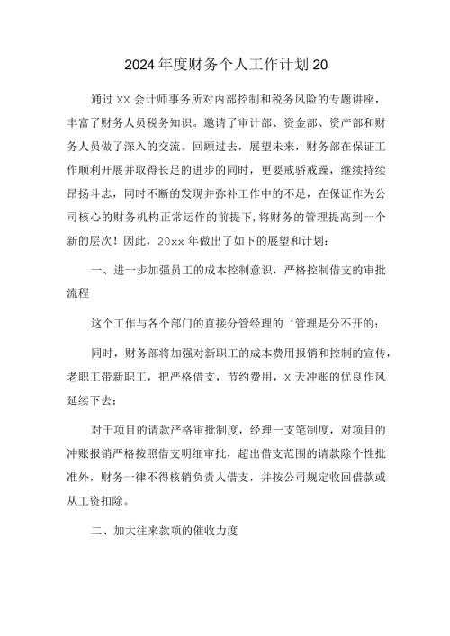 2024财务个人工作计划20.docx