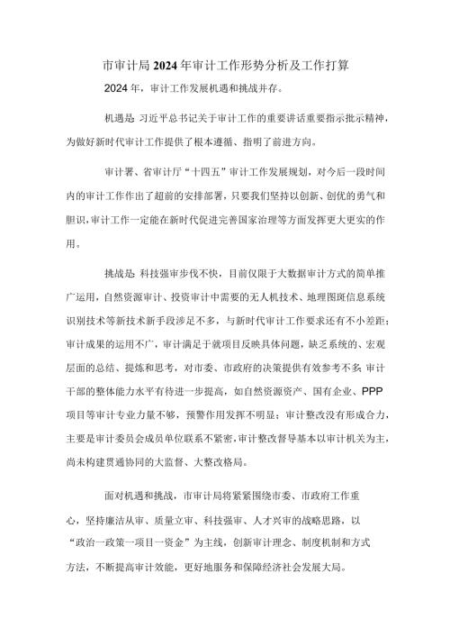 市审计局2024年审计工作形势分析及工作打算.docx