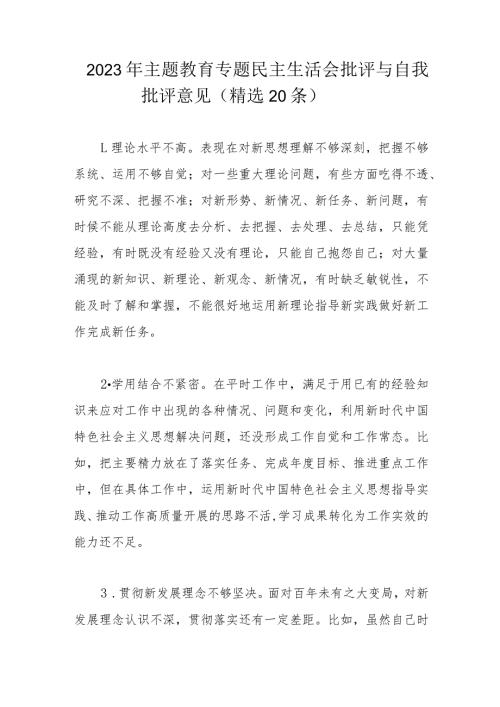 2023年主题教育专题民主生活会批评与自我批评意见.docx