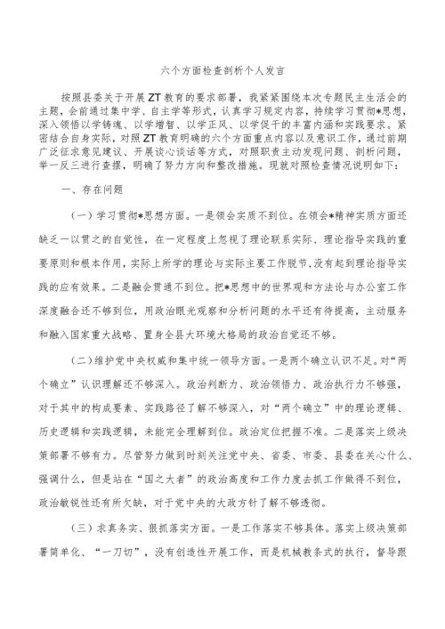 六个方面检查剖析个人发言.docx