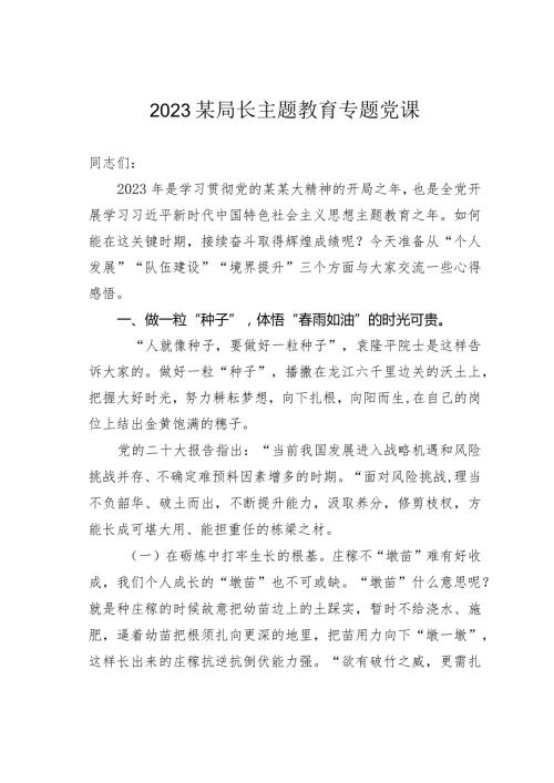 2023某局长主题教育专题党课(1).docx