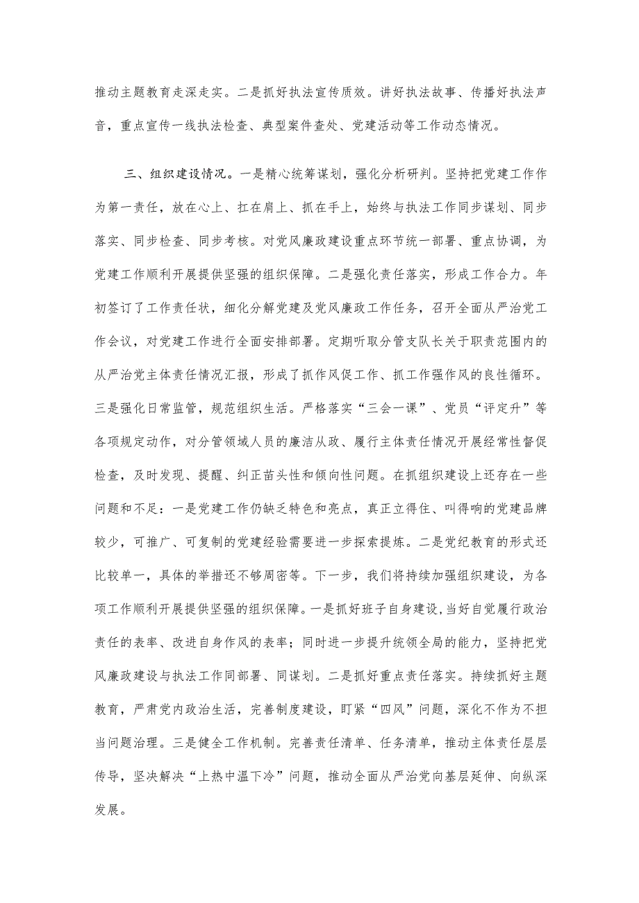 执法支队2023落实全面从严治党主体责任述职报告.docx_第3页