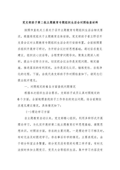 党支部班子第二批主题教育专题组织生活会对照检查材料.docx