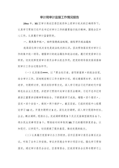 审计局审计监督工作情况报告.docx