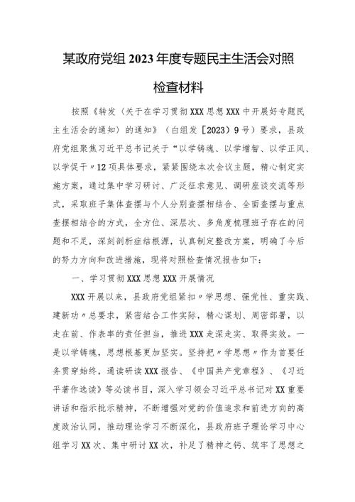某政府党组2023专题民主生活会对照检查材料.docx