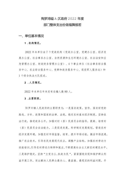 阳罗洲镇人民政府2022部门整体支出绩效自评报告.docx