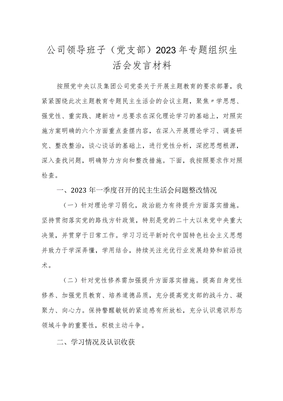 国企公司领导班子（党支部）20232024年专题组织生活会检视发言材料.docx_第1页