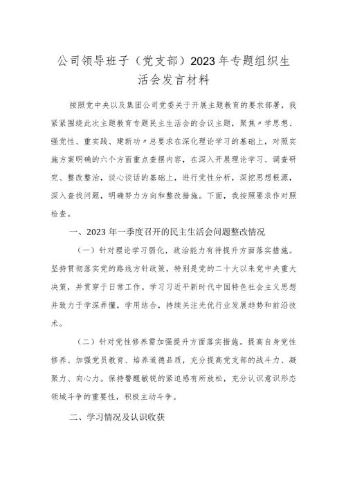 国企公司领导班子（党支部）20232024年专题组织生活会检视发言材料.docx