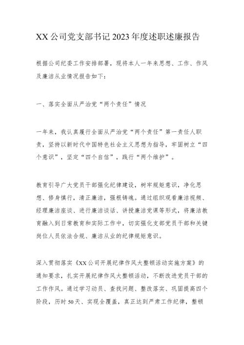 xx公司党支部书记2023述职述廉报告.docx