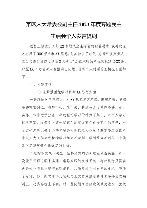 某区人大常委会副主任2023专题民主生活会个人发言提纲.docx