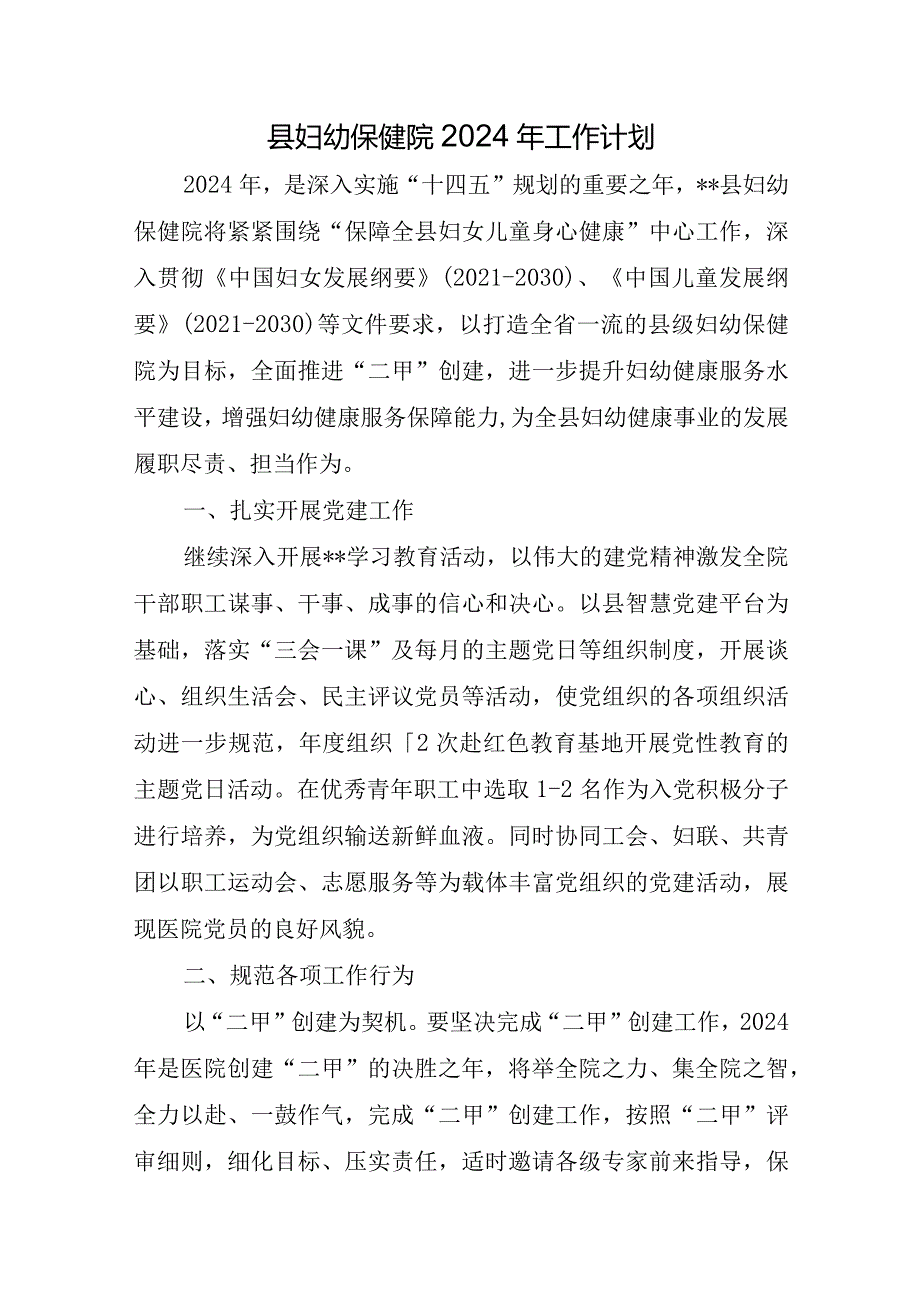 县妇幼保健院2024年工作计划.docx_第1页