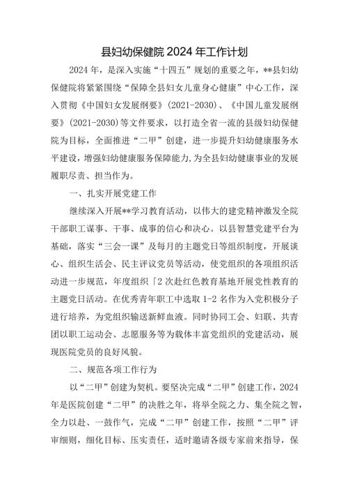 县妇幼保健院2024年工作计划.docx