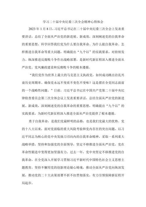 学习二十中央纪委三次全会精神心得体会三.docx