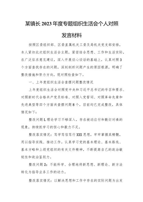 某镇长2023专题组织生活会个人对照发言材料.docx