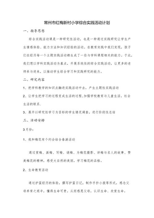 常州市红梅新村小学综合实践活动计划.docx