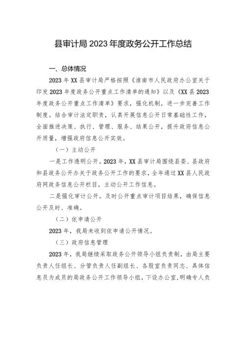 县审计局2023政务公开工作总结（20231225）.docx